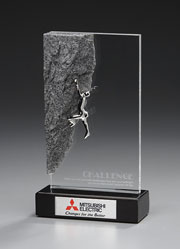 7871-Challenge-Award